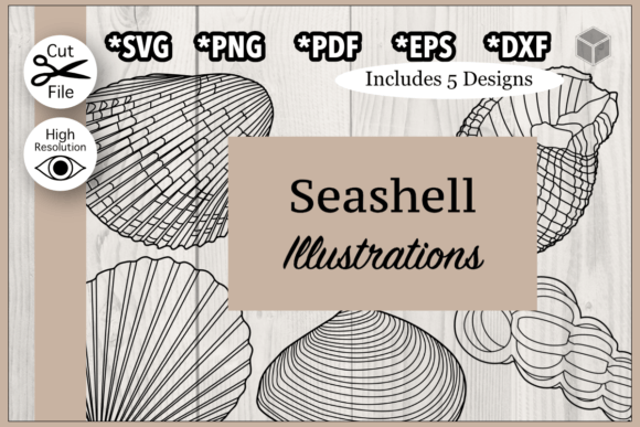 Download Detailed Seashells Outline Bundle - Premium Bundle