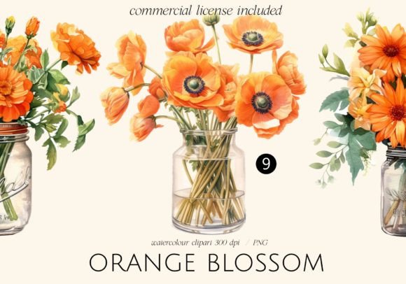 Download Orange Blossom Flowers in Jars - Blossom Collection