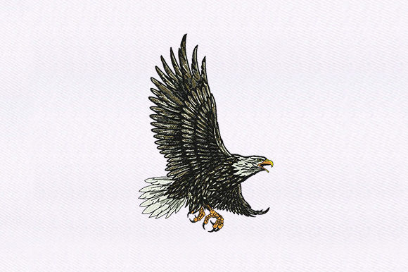 Download Feather Detailed Eagle Design - Premium Bundle