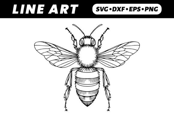 Download Line Art Bee Drawing, Detailed Wings - Premium Resources