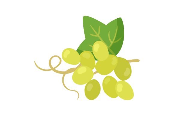 Download Cooking Oil Ingredient Vector Illustrati - Vector Collection