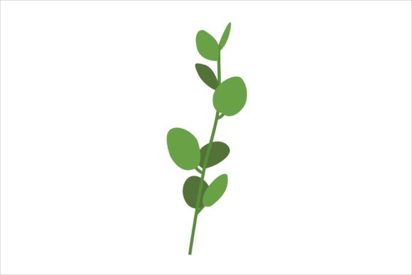 Download Oregano Fresh Leaves Illustration - Illustration Collection